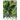 Cell (Alternate Art) FB10-111 SR☆ Trading Card Bandai