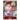 Koala (Championship 25-26) P-069 P