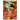 Son Goku & Piccolo, Arch-Rivals Fighting Together BT21-011 SPR