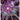 Hit FB01-021 Super Rare Trading Card Bandai