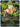Super Baby 1 FB04-108 Super Rare.