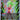 Kefla FB02-013 Super Rare Trading Card Bandai