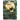God Grade Tien Shinhan FB06-032 Super Rare.
