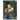 Bardock, Saiyan Invasion [Winner] P - 509 PR