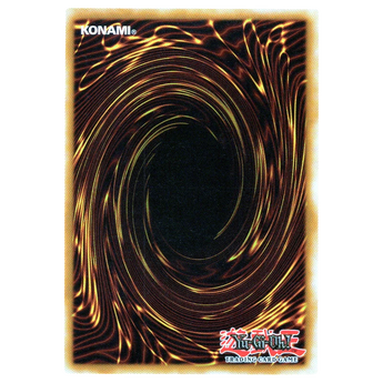Foolish Burial (Variant Art) RA05 - EN138 Starlight Rare