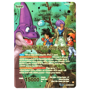 Descriptive image text